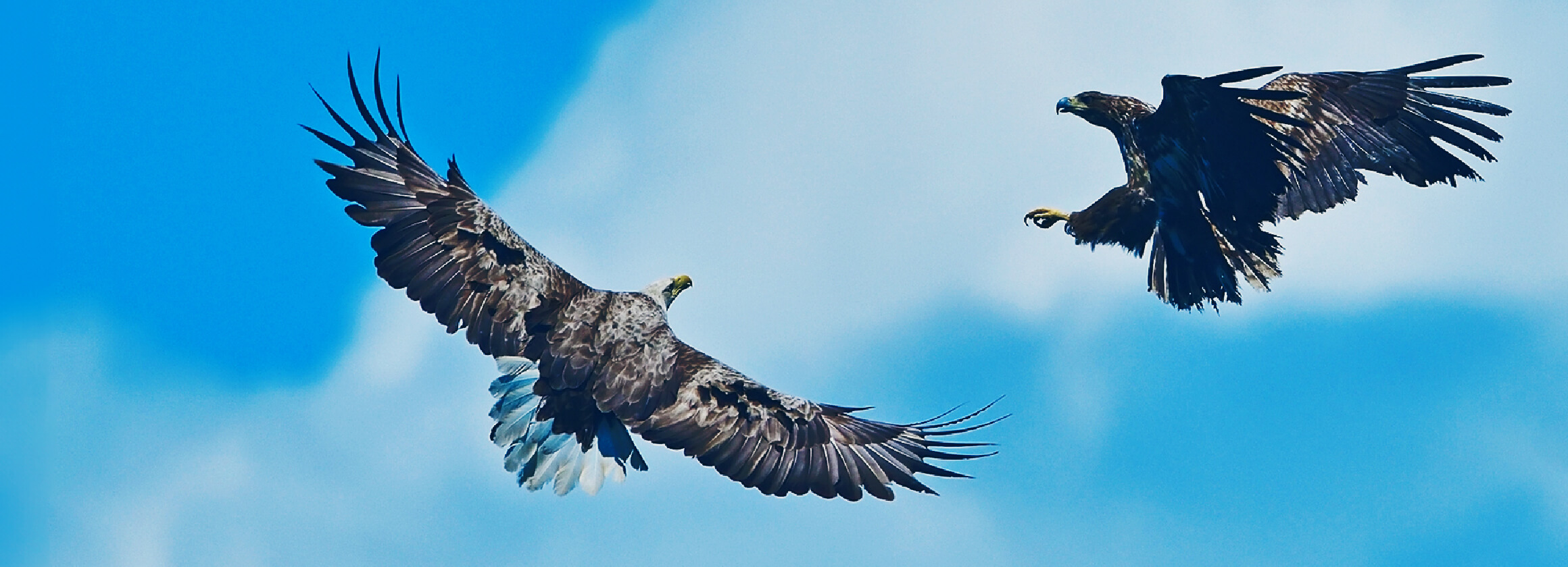 飛躍のチャンス「第二創業期」