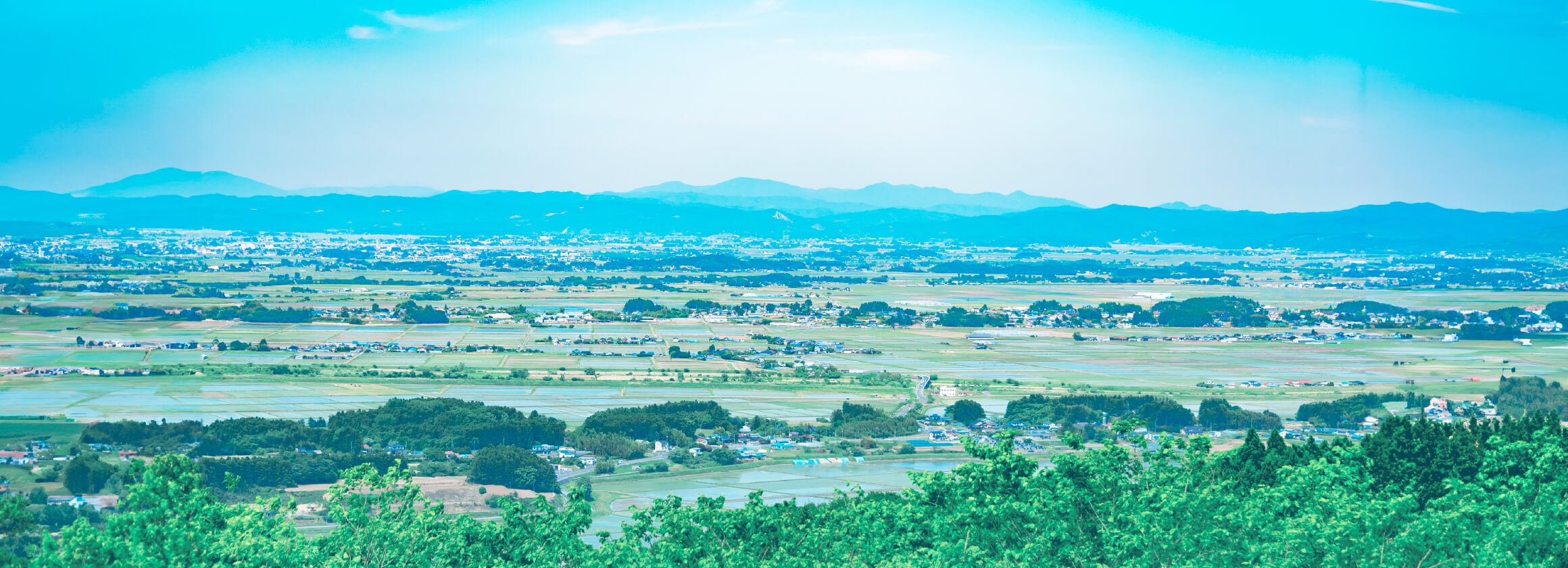 社会貢献を事業にする会社