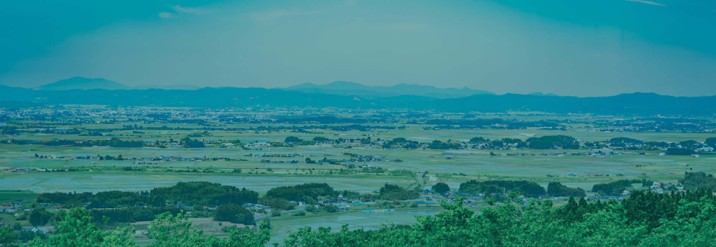 社会貢献を事業にする会社