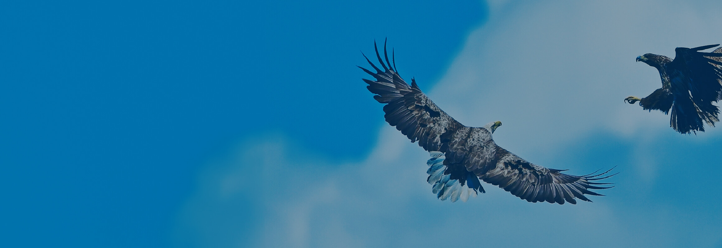 飛躍のチャンス「第二創業期」